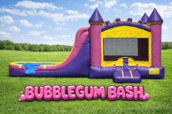 Bubblegum Bash Wet/Dry Combo