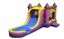 IMG 3065 1773361068 2 Bubblegum Bash Wet/Dry Combo