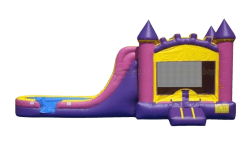 IMG 3066 1773361068 2 Bubblegum Bash Wet/Dry Combo